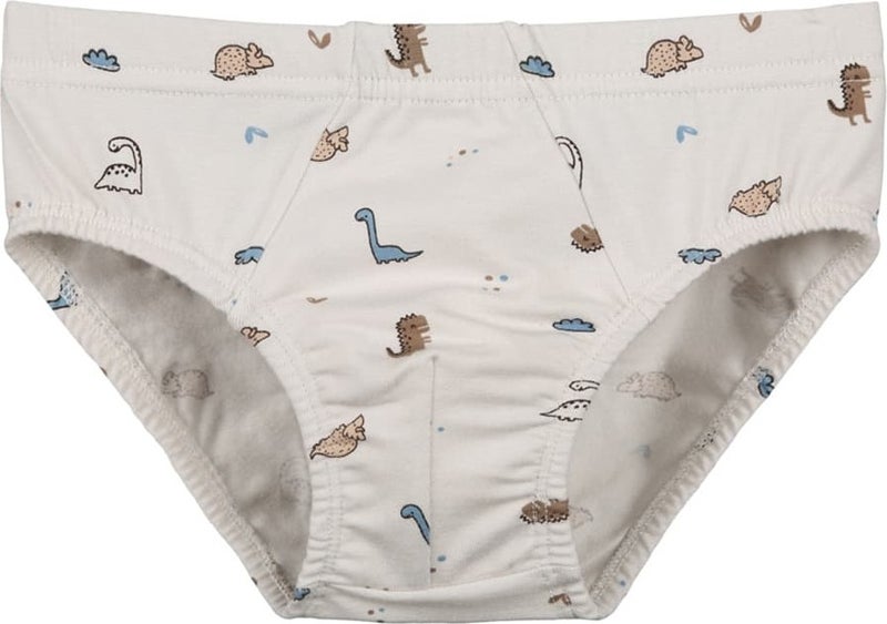 10-Pack Colorful Printed Boy's Panties - 768106