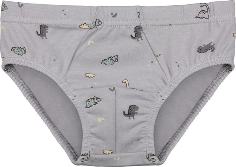 10-Pack Colorful Printed Boy's Panties - 768106