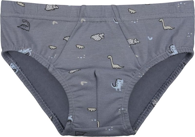 10-Pack Colorful Printed Boy's Panties - 768106