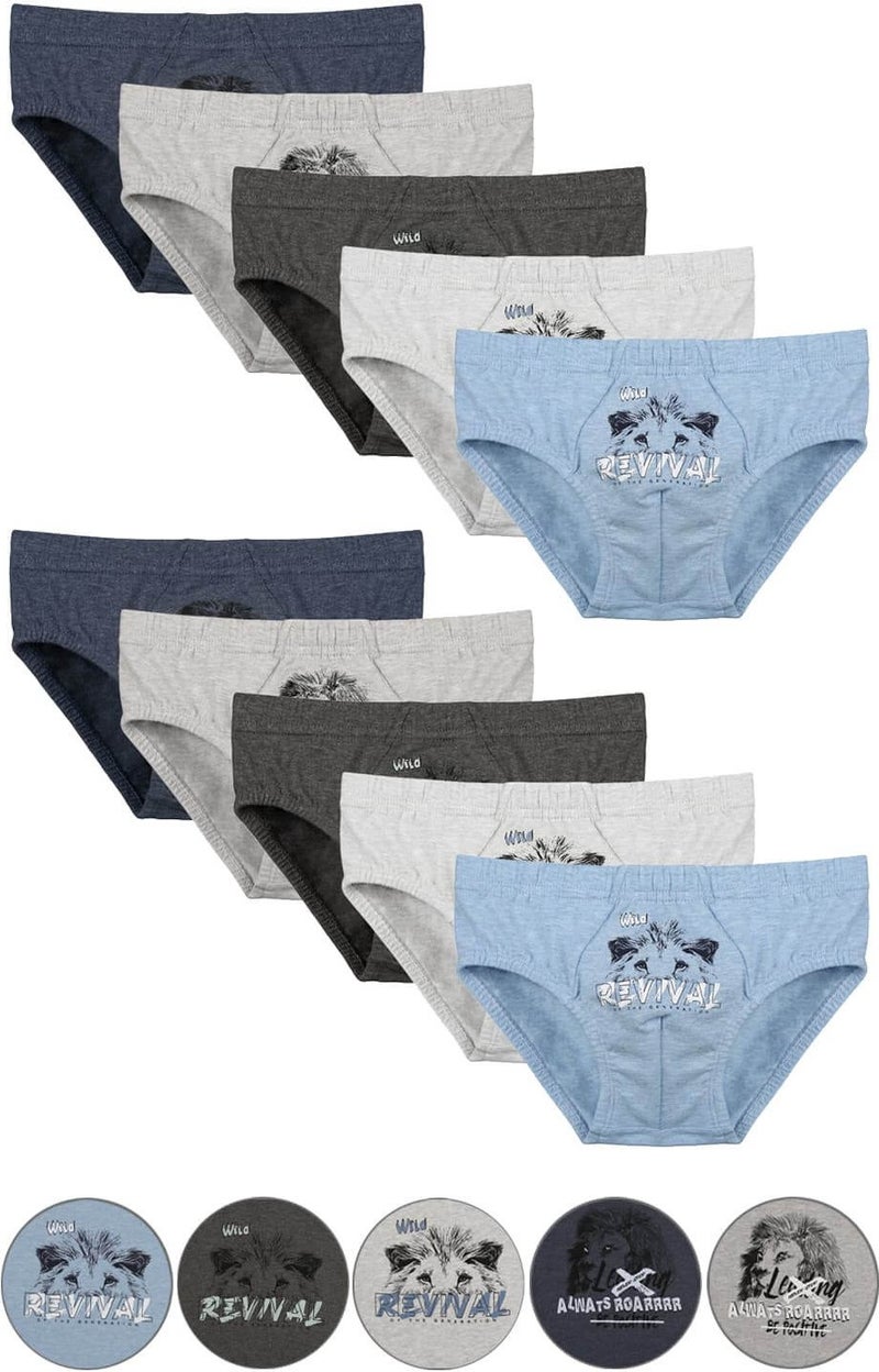 10-Pack Colorful Printed Boy's Panties - 7624B2