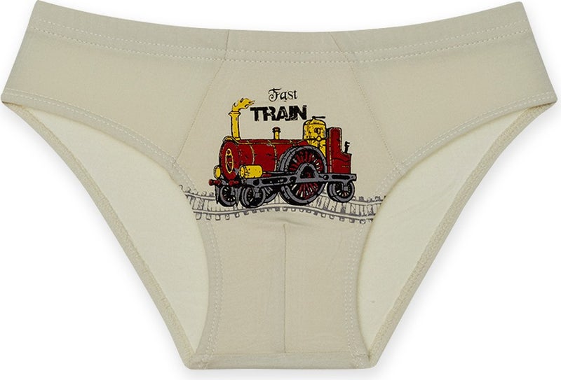 10 Pcs Colored Train Printed Boys Briefs - 767010