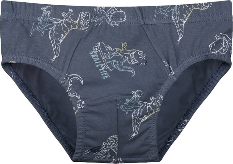 10-Piece Colorful Boys' Panties - 768105