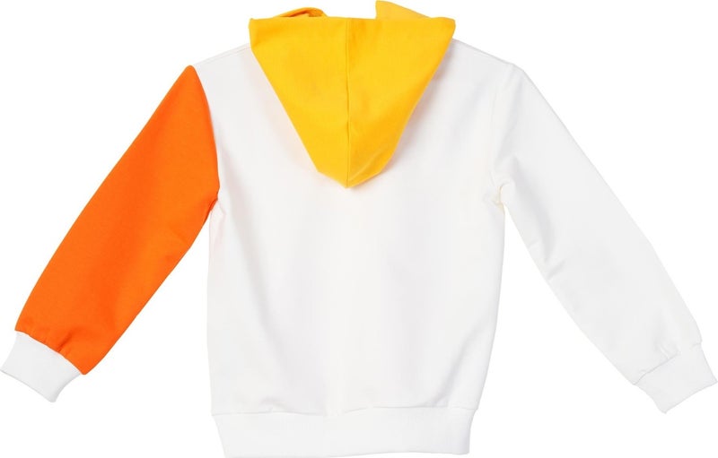 Boy's Sweatshirt BNT-B21368