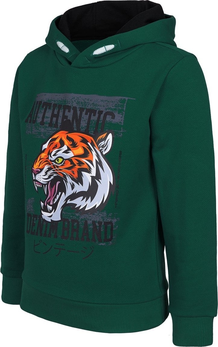 Tiger Printed Boys Hoodie Sweatshirt