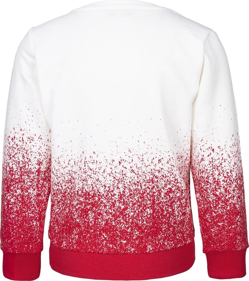 Boys Printed Sweatshirt