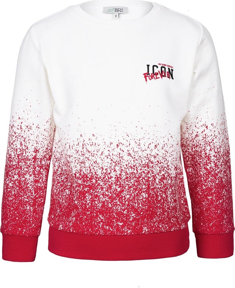 Boys Printed Sweatshirt