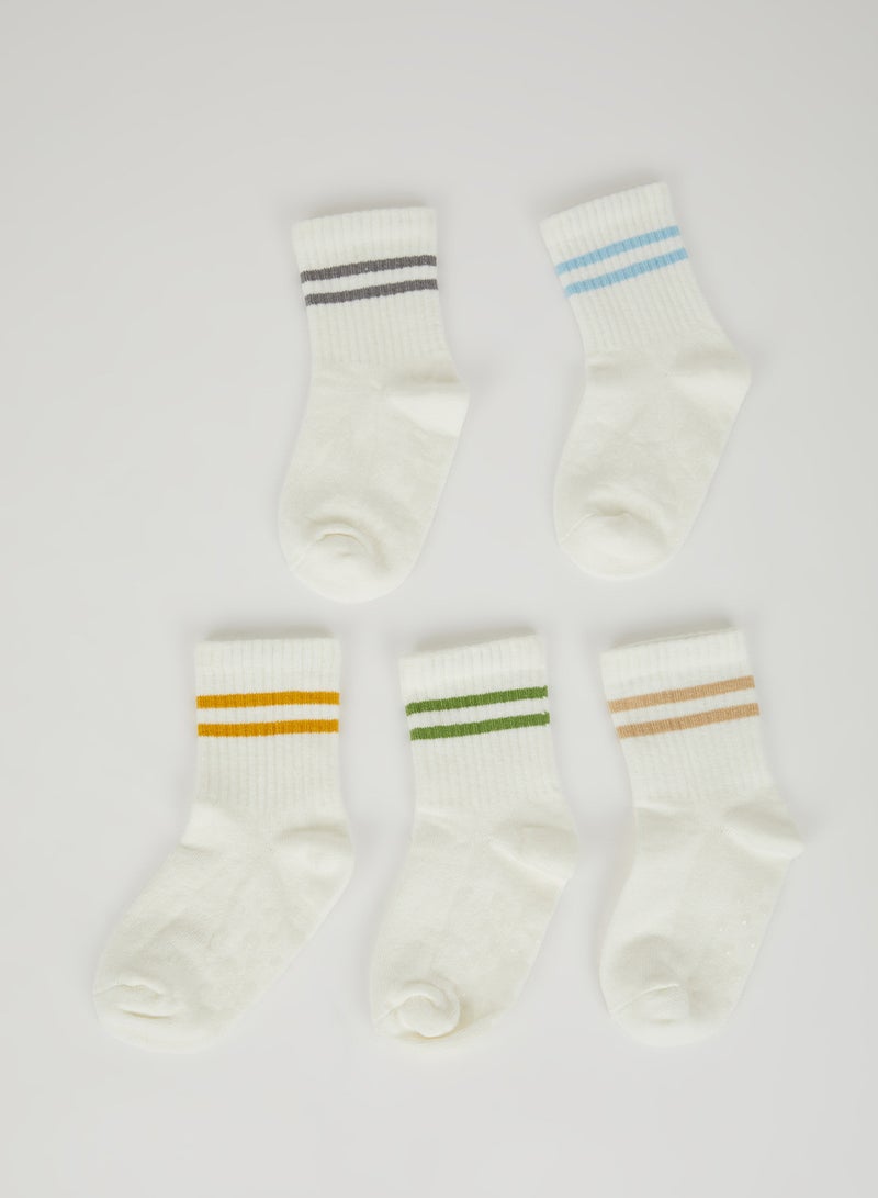 Seamless 5-Pack Cotton Long Socks