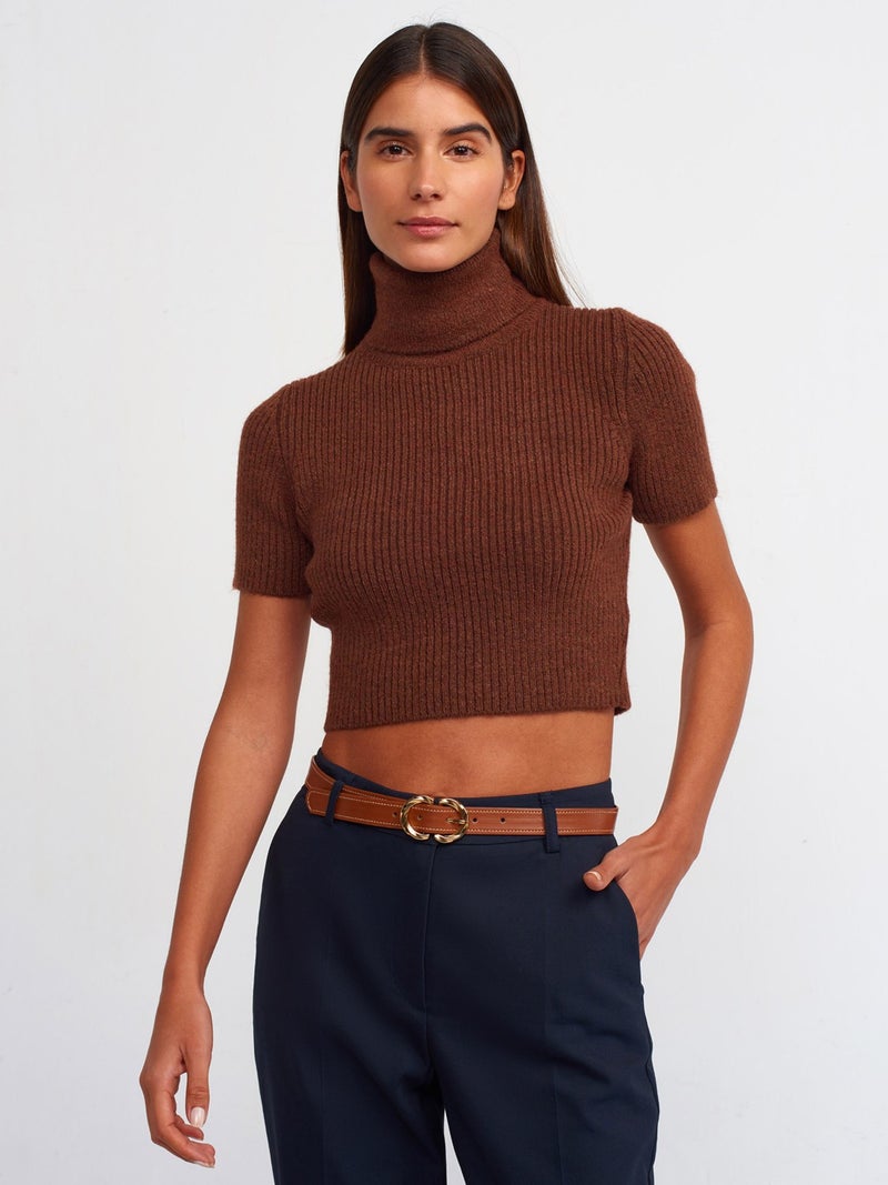 10487 Full Turtleneck Ribbed Short Sleeve Crop Sweater-Light Brown