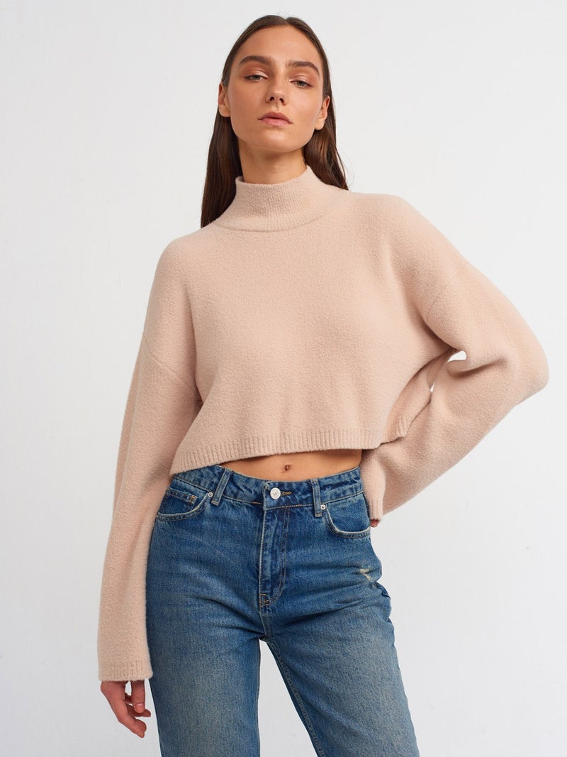 10483 Soft Textured Stand-up Collar Crop Sweater-Beige