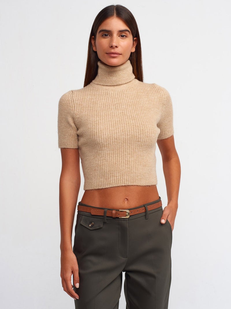 10487 Full Turtleneck Ribbed Short Sleeve Crop Sweater-Beige