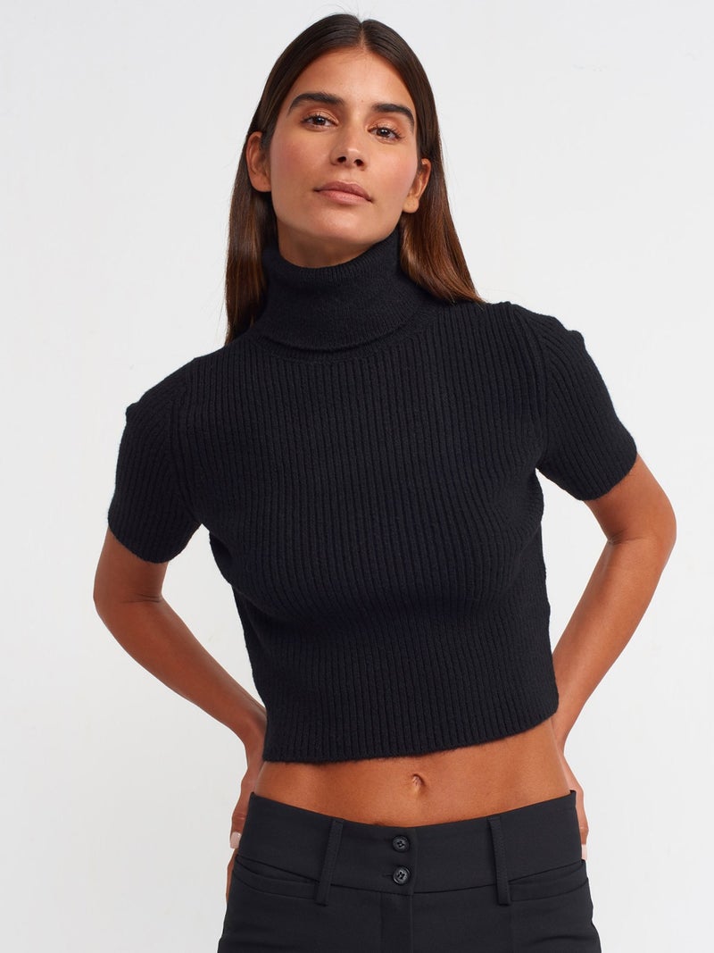 10487 Full Turtleneck Ribbed Short Sleeve Crop Sweater-Black