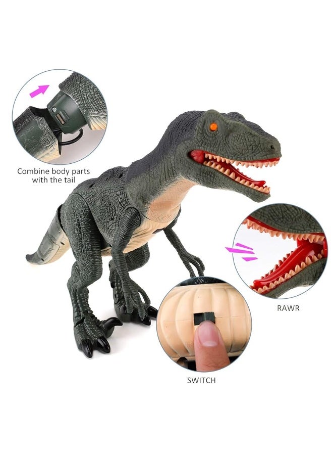 Liberty Imports Dino Planet Remote Control R/C Walking Dinosaur Toy with Shaking Head, Light Up Eyes & Sounds (Velociraptor)