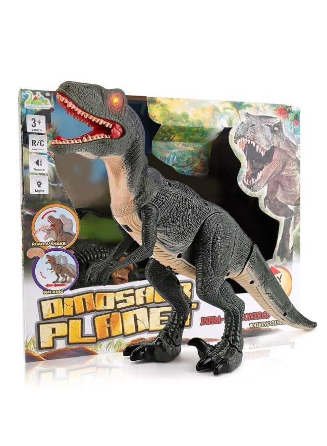 Liberty Imports Dino Planet Remote Control R/C Walking Dinosaur Toy with Shaking Head, Light Up Eyes & Sounds (Velociraptor)