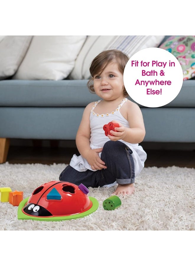 Edushape Ladybug Sorter - Sorting Bathtub Toys - Early Child Development Learning Educational Toy - Toddler Bath Toys - Baby Bath Toys for Toddlers 1-3 Teaches Cause & Effect, Cognitive Skills