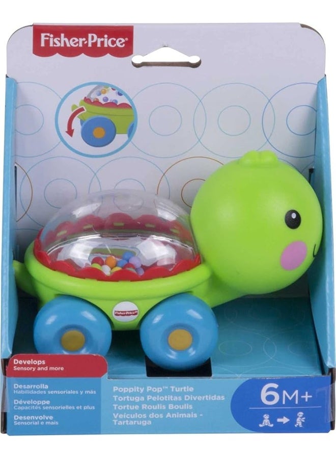 Fisher-Price Baby Crawling Toy Poppity Pop Turtle Push-Along Vehicle with Ball Popping Sounds for Infants Ages 6+ Monthsâ€‹