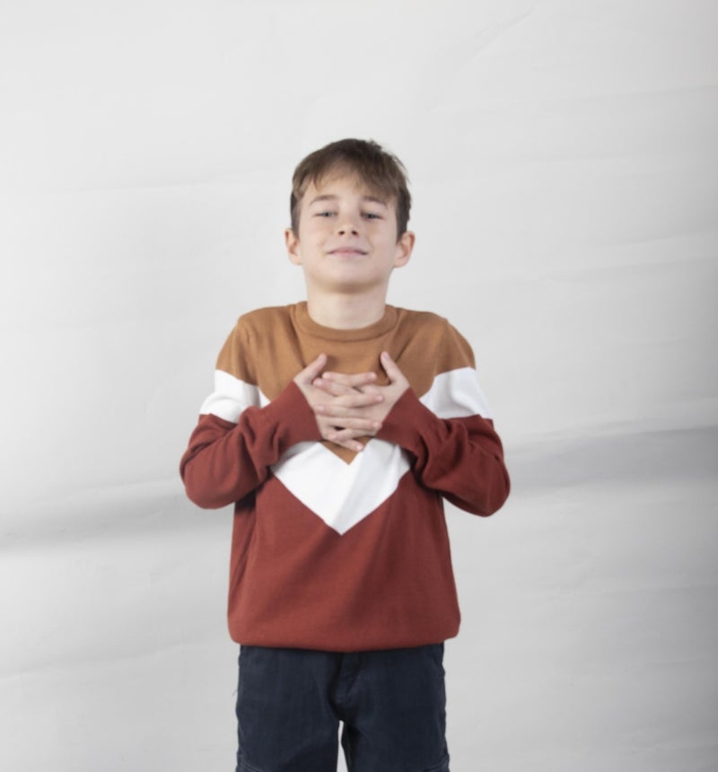 Boy's Patterned Sweater (C21-18676)