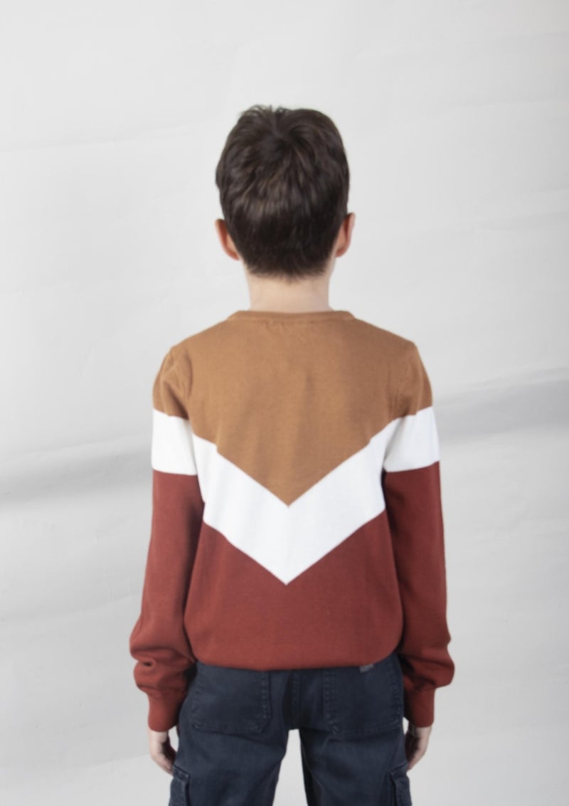 Boy's Patterned Sweater (C21-18676)