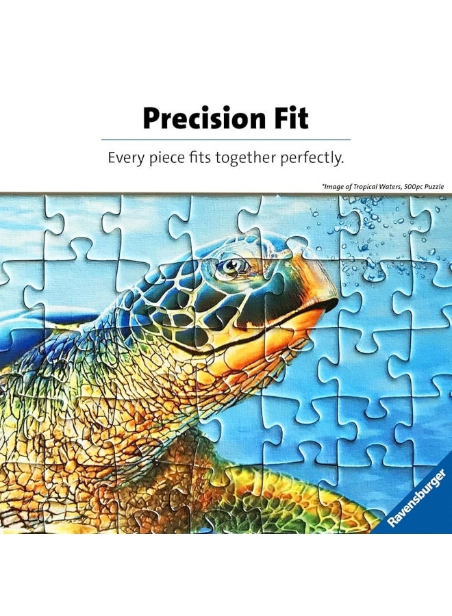 Ravensburger Puzzle Moment: Balloons 300 Piece Jigsaw Puzzle for Adults - 12968 -Every Piece is Unique, Softclick Technology Means Pieces Fit Together Perfectly