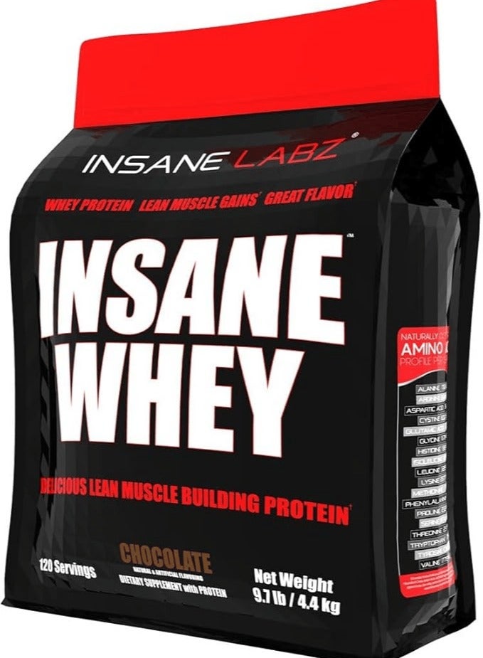 Insane Labs Whey Protein 9.7 lbs Chocolate