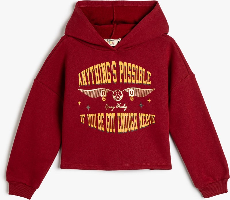 Harry Potter Hooded Sweatshirt Licensed Long Sleeve Sweatshirt