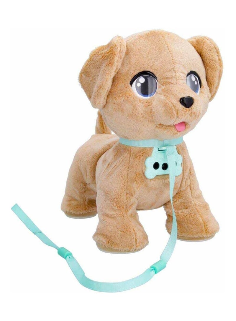 MILO PLAY AND WALK