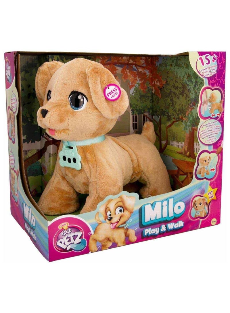 MILO PLAY AND WALK