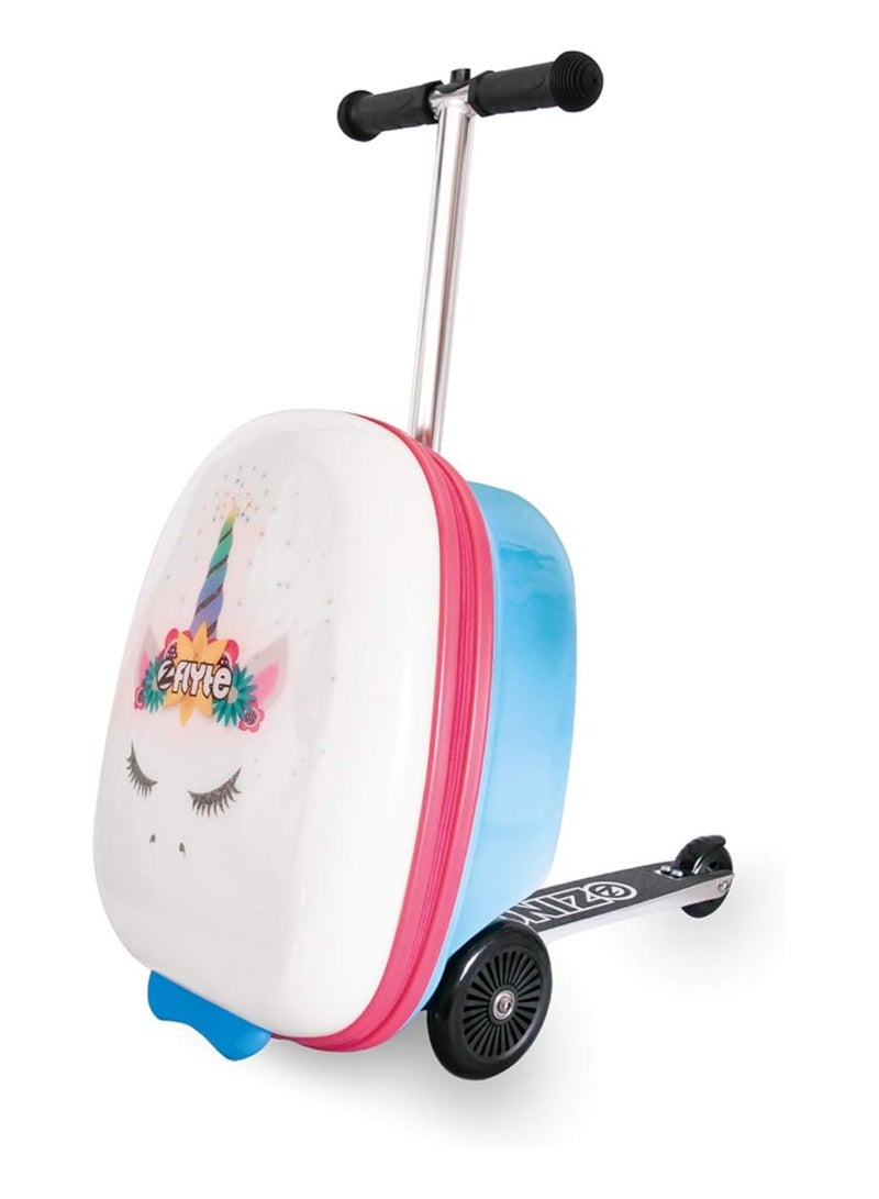 Luggage Scooter 18