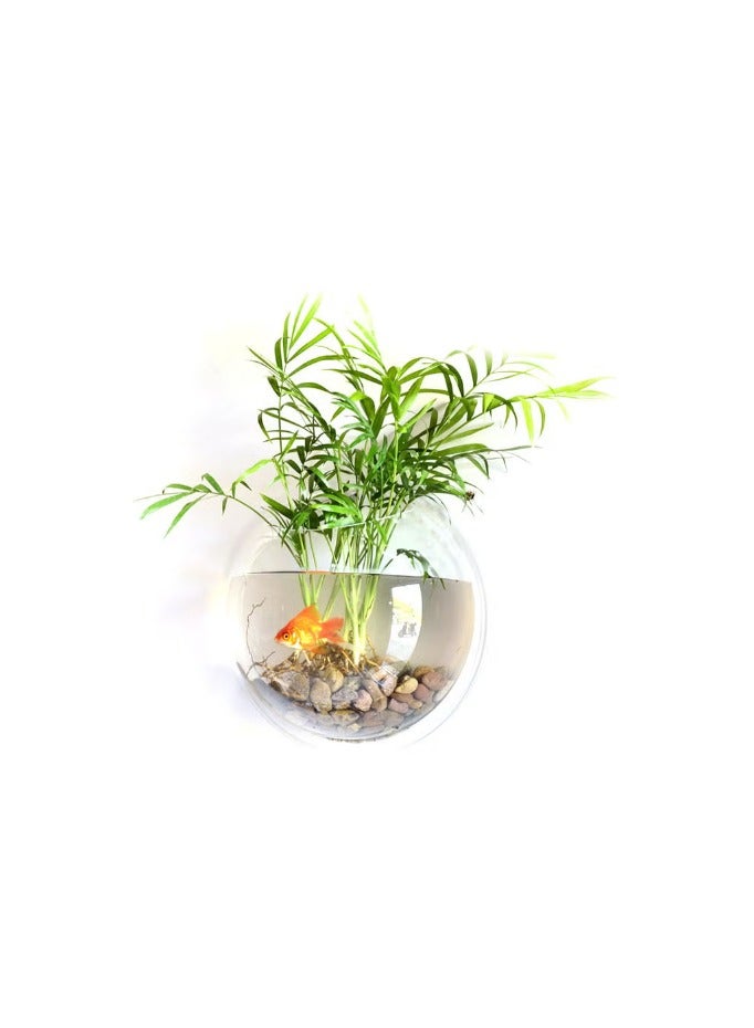 Wall Mount Fish Tanks Goldfish Bowl Clear 16.0x16.0x8.0mm