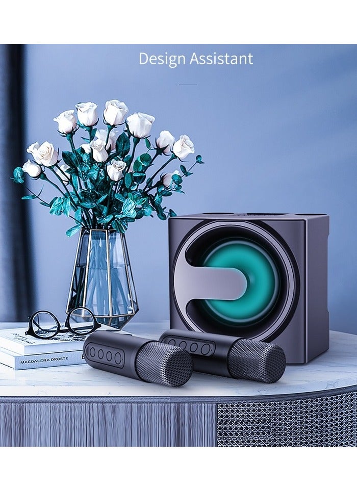 Wireless Bluetooth Speaker Home KTV Equipment Car Portable Mini Audio Microphone Outdoor Indoor Dual Microphone YS-207