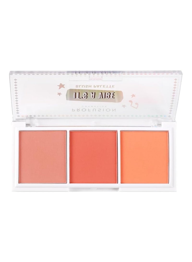 Cosmetics Its a Vibe Admit One 3 Shade Blush Palette Enhance Your Glow with Matte and Shimmer Finishes Long Lasting Face Blush Vegan and Cruelty Free Makeup for Festival Ready Radiance