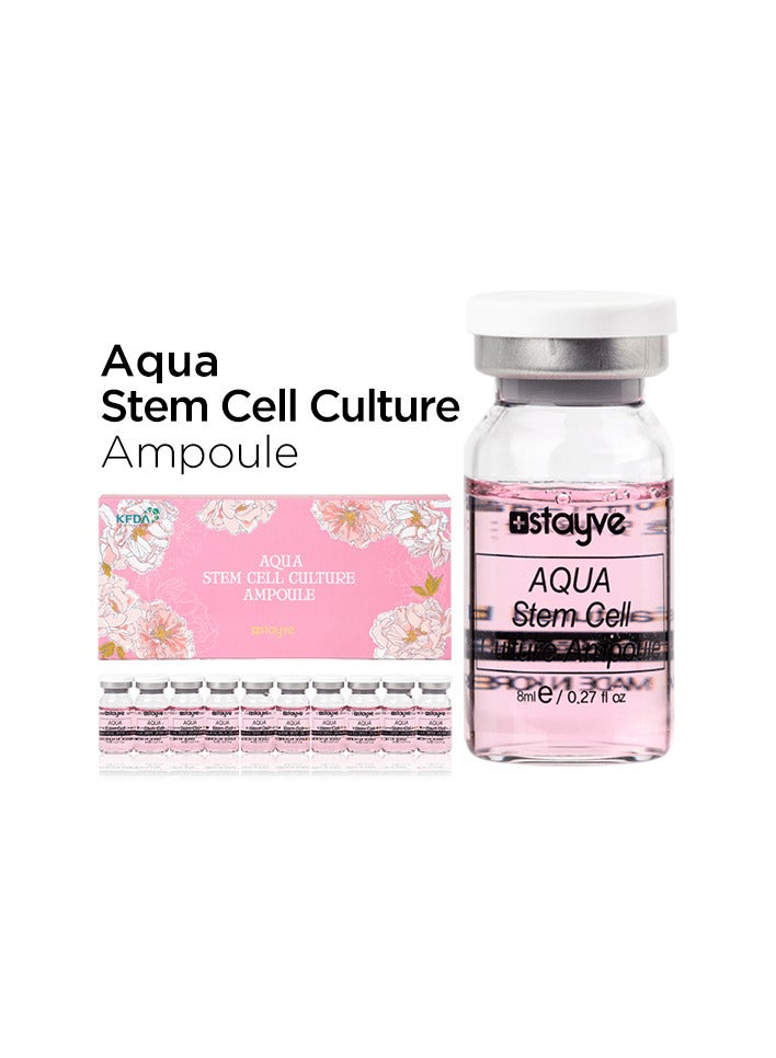Stayve Dermawhite Booster Starter Set Aqua Stem Cell Culture Ampoules for BB Glow Hydration Skin Protection
