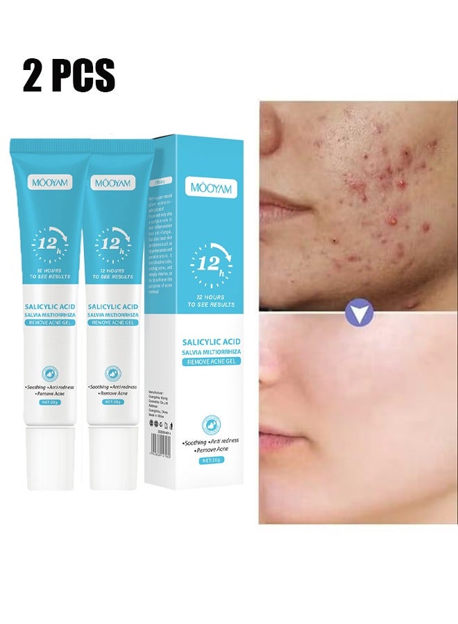 2 Pcs Salicylic Acid Remove Acne Gel, Rapid Action Acne Spot Treatment for Face Closure & Acne Dots, Premium Acne Scar Gel & Pimple Remover, 20g