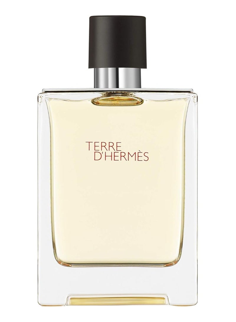 Terre EDT mlml