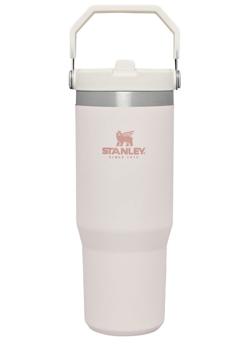 Stanley Large Capacity Insulated Water Bottle