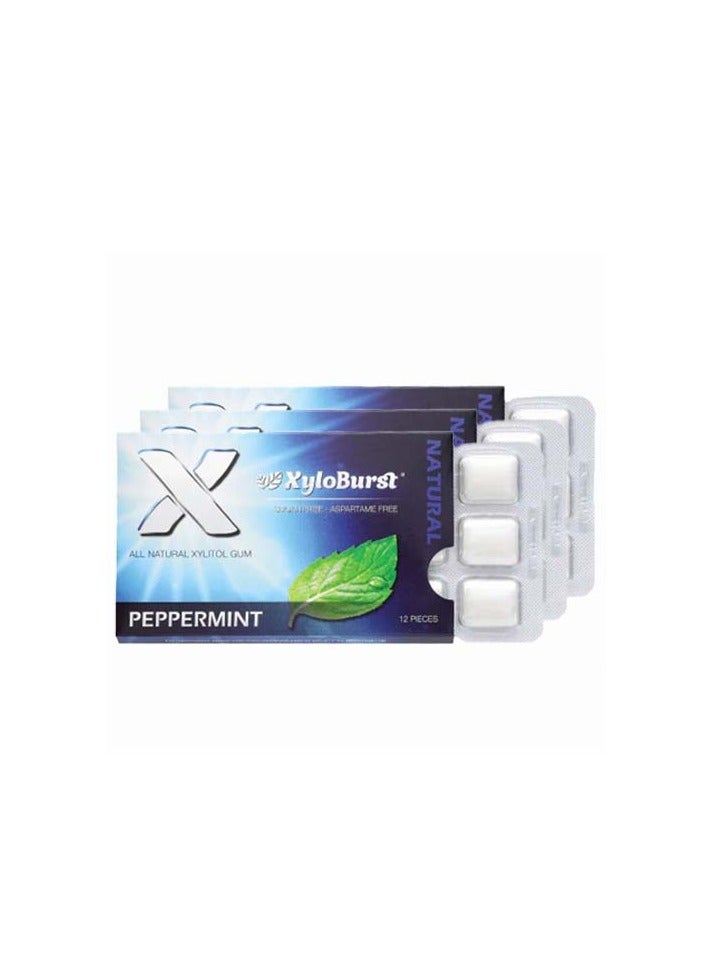 Xyloburst, Xylitol Gum, Peppermint, 12 Pieces