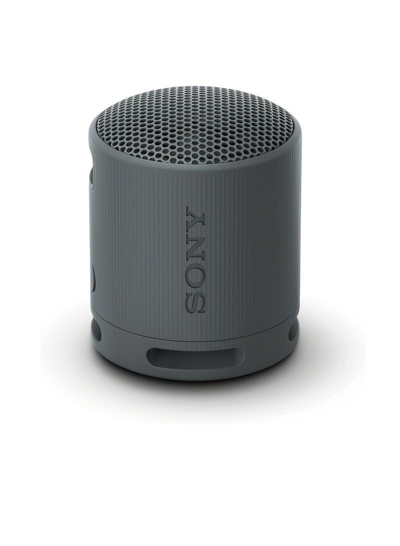 SRS-XB100 Wireless Bluetooth Portable Lightweight Super-Compact Travel Speaker, Extra-Durable IP67 Waterproof & Dustproof, 16 Hour Battery, Versatile Strap, and Hands-Free Calling New Black