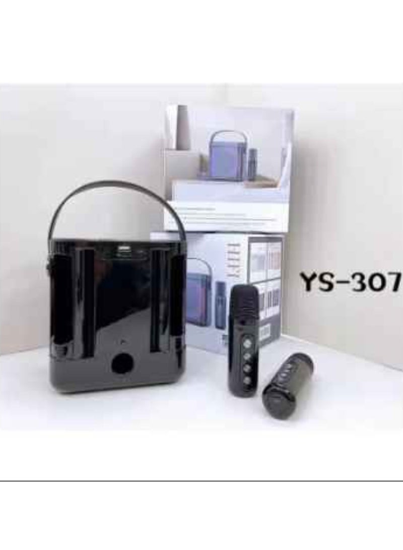 YS-307 Karaoke Bluetooth Speaker Dual Microphone Card Microphone Integrated K Song Bluetooth Subwoofer