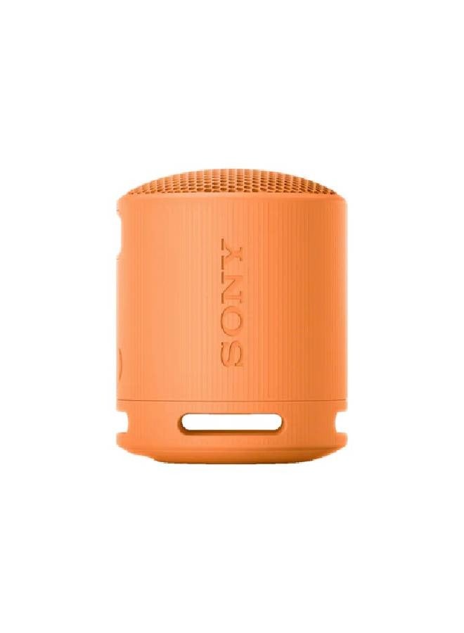 Portable Wireless Speaker SRS-XB100/D Orange