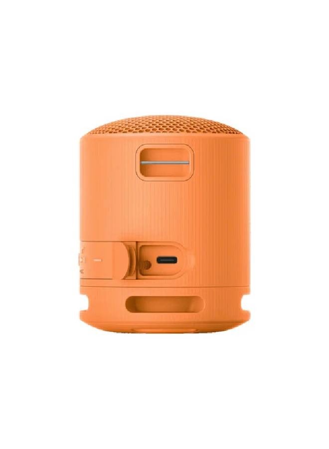 Portable Wireless Speaker SRS-XB100/D Orange