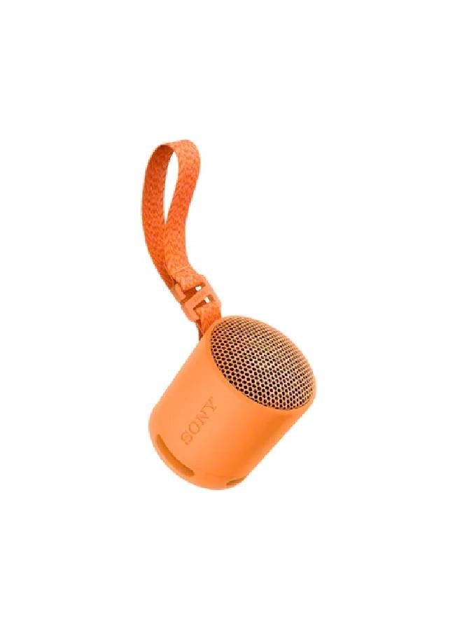 Portable Wireless Speaker SRS-XB100/D Orange