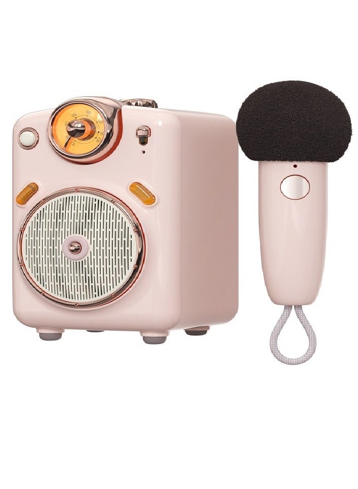 Fairy-OK Portable Bluetooth Speaker with Microphone Voice Change Karaoke Function FM Radio TF Card