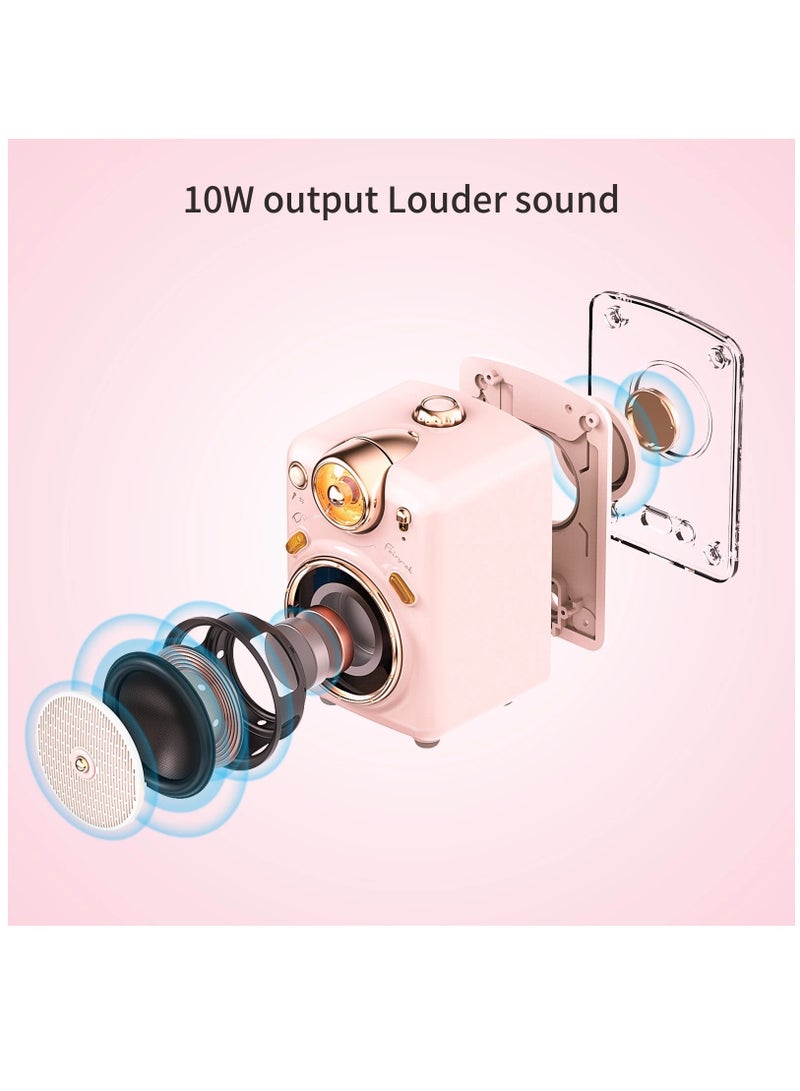 Fairy-OK Portable Bluetooth Speaker with Microphone Voice Change Karaoke Function FM Radio TF Card