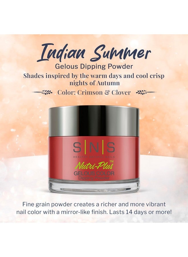 Sns Nails Dipping Powder Gelous Color Indian Summer Collection Is291Oz