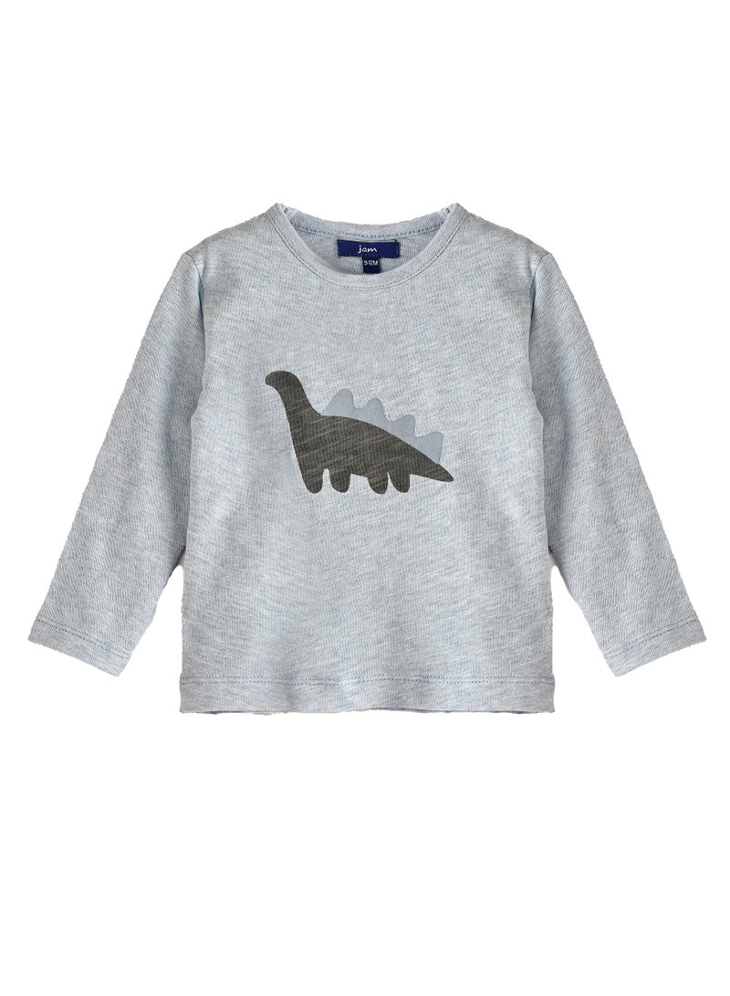 Boys Light Blue Dino Sweatshirt