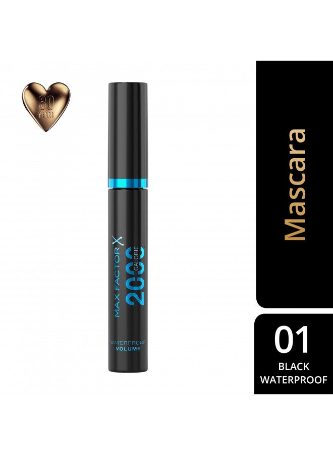 Max Factor 2000 Calorie Mascara Waterproof for Women, Rich Black, 0.33 Ounce