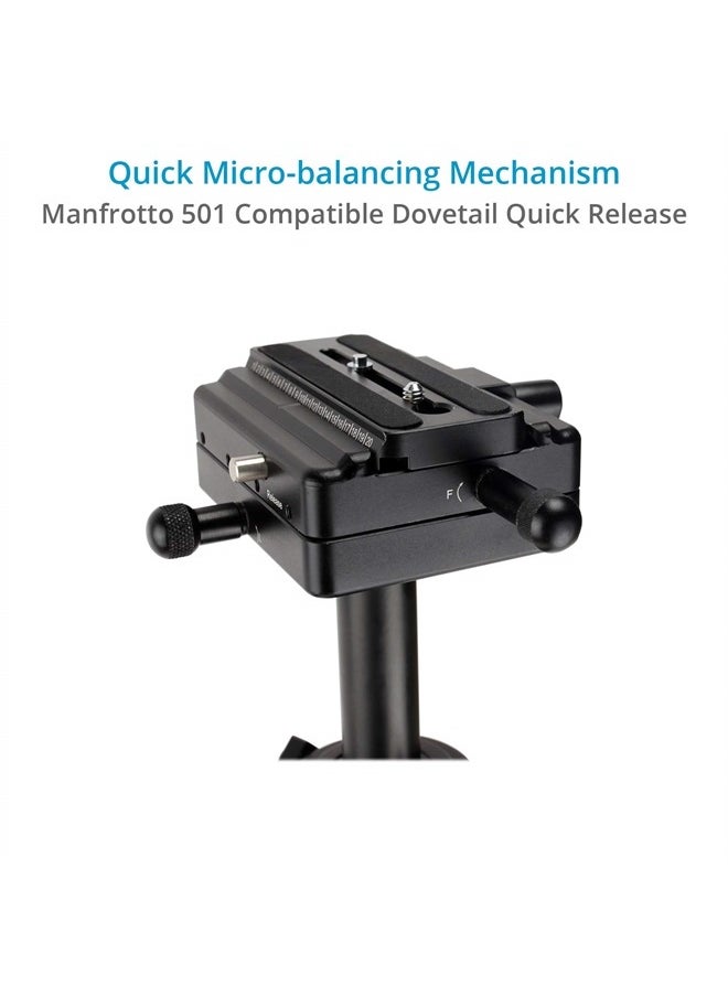 Redking Quick Balancing Video Camera Stabilizer with Dovetail Quick Release (FLCM-RK) | Professional CNC Aluminum Camera Stabilizer for DSLR BMCC Sony Nikon DV Camcorders up to 7kg/15.4lb + Bag