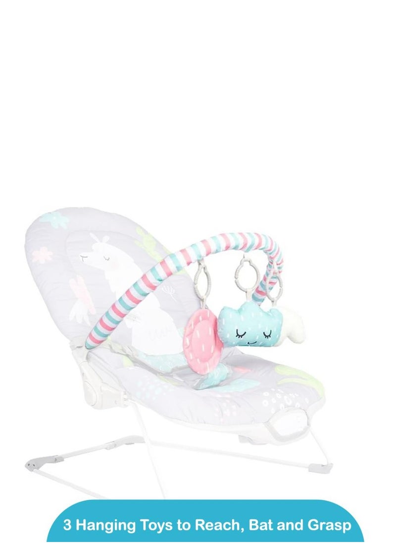 Little Learners - My First Bouncer Electric - Little Llama