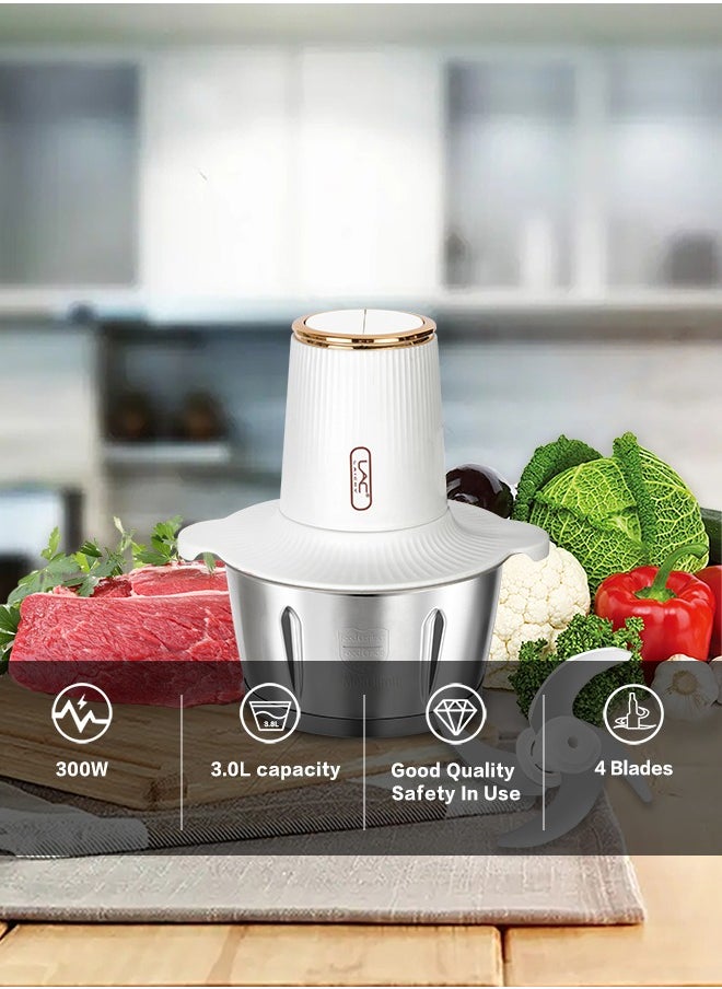 3L Large  Electric Meat Grinder Stainless Steel Chopper 2 Speeds Meat Mincer Food Processor  With Integrated 4-Sharp Blades And Child Safety Lock Elegant White Design