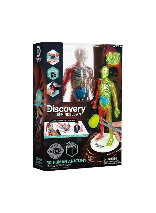 Mindblown Glow-In-The-Dark 3D Human Anatomy Stem Kit (28 Pieces)