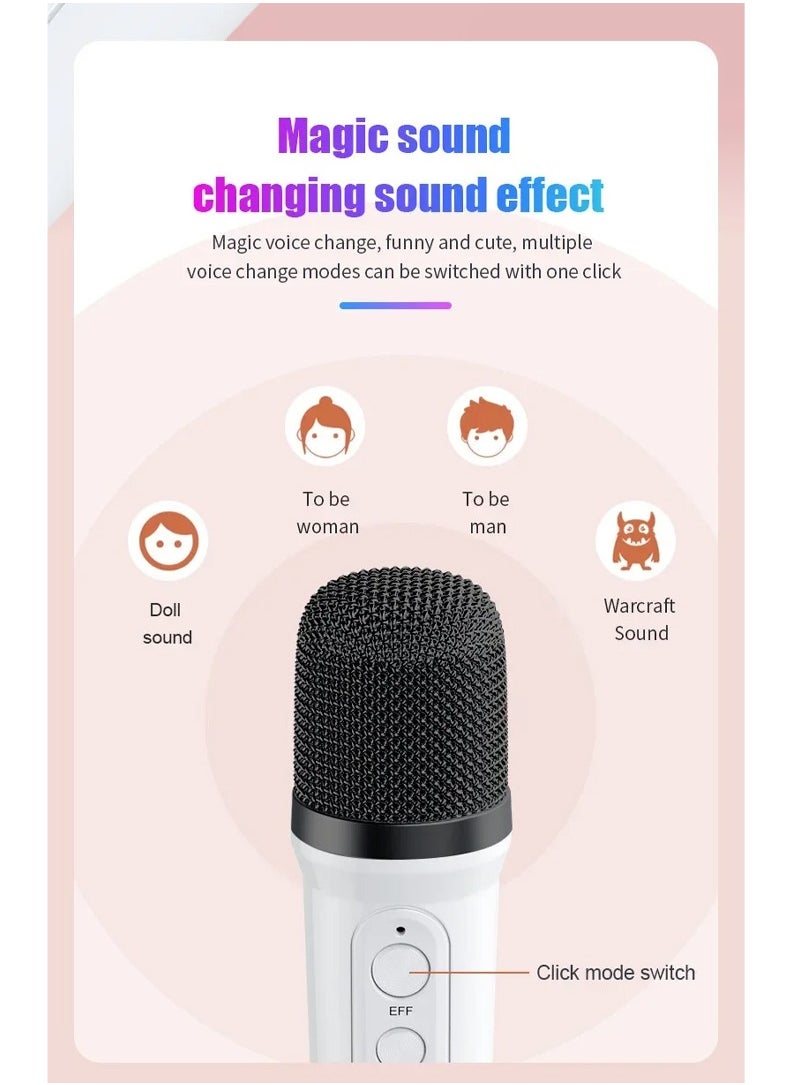 YS-110 Wireless Lightshow Speaker With Microphone